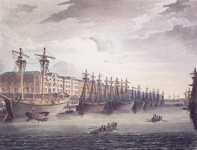 Doki w Indiach Zachodnich autorstwa T. and Pugin A.C. Rowlandson