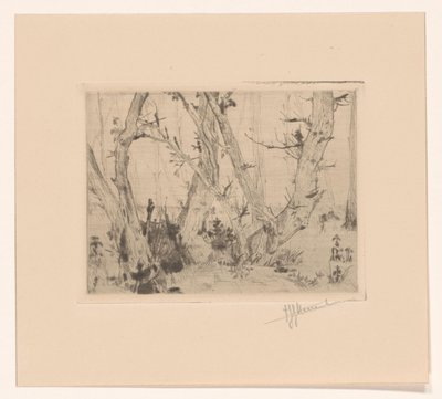 leśny widok autorstwa T. Sterrenburg (signed by artist)