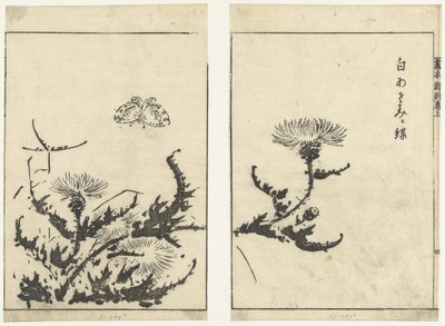di s tel s en v w r gahon shinkoku makiage (seria) autorstwa Tachibana Morikuni (attributed to)