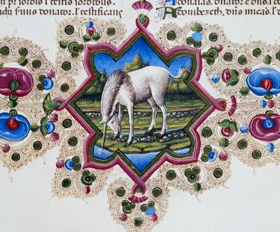 Fryz brzegowy u dołu strony z jednorożcem, tom II f 245, v, Biblia Borso d
