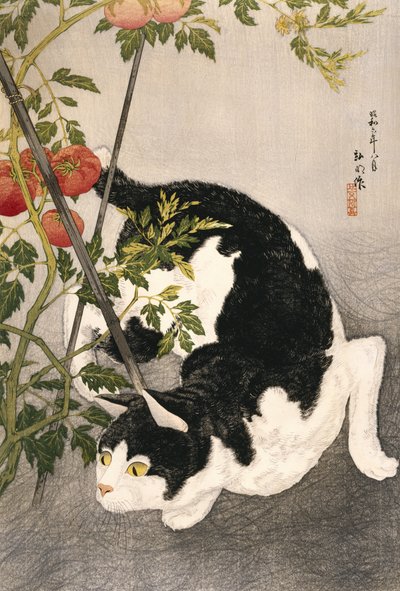 Kot grasujący wokół zakładu pomidora, 1931 (drewnodruk) autorstwa Takahashi Hiroaki