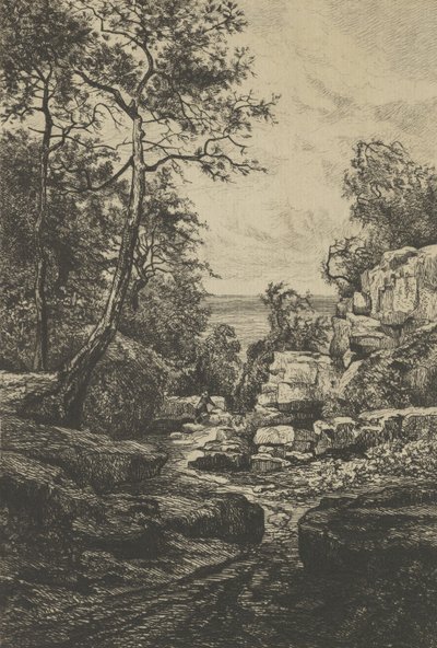 Szlak Tambourin, wyspa Noirmoutier, XIX wiek. autorstwa Tancrède Abraham