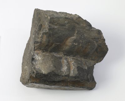 Fragment cokołu lotosu autorstwa Tang Dynasty Chinese School