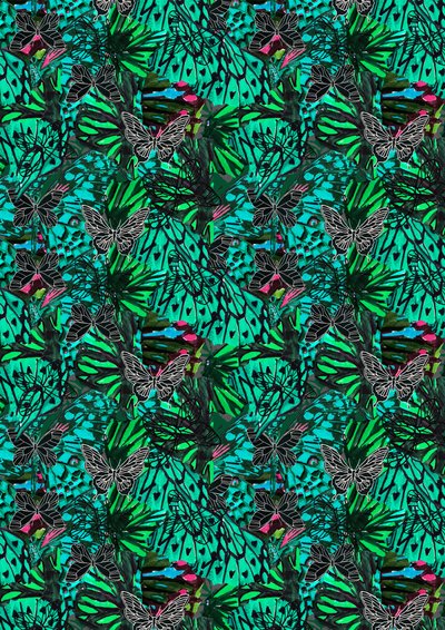 Papillon autorstwa Tara Whitehead