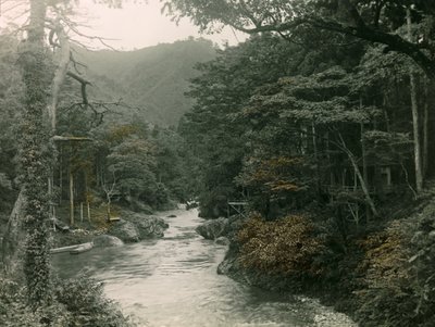 Jesienny las w regionie Yamanaka, około 1900-1915 r. (zdjęcie) autorstwa Teijiro Takagi