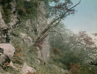 na drodze do wodospadów Kegon w Nikko, około 1900-1915 (zdjęcie) autorstwa Teijiro Takagi