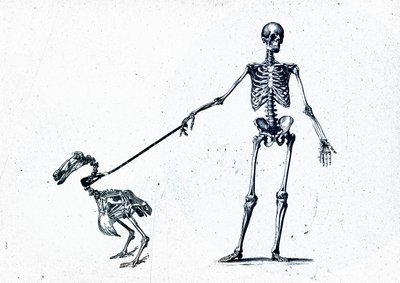 Walking my dodo, 2015 (media mieszane na płótnie) autorstwa Teis Albers