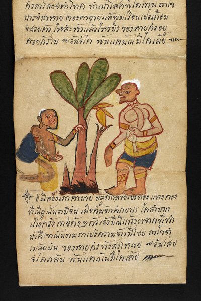 Lub. 16482, f.21 „Satra”  O wróżbiarstwie i poradach dotyczących szczęśliwego i zdrowego życia (książka składana papierowa) autorstwa Thai School