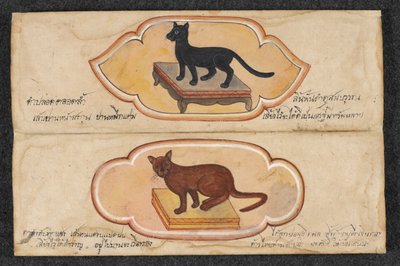 Koty Syjamskie, Fol. 1: dwa szczęśliwe koty wspierające biznes i gromadzenie bogactwa, Or. 16797, f.1 (pergamin) autorstwa Thai School