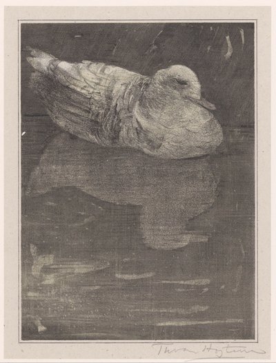 pływająca kaczka autorstwa Theo van Hoytema (signed by artist)