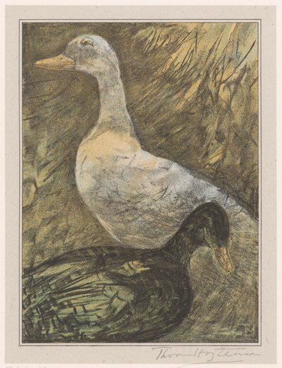 Dwie stojące kaczki autorstwa Theo van Hoytema (signed by artist)