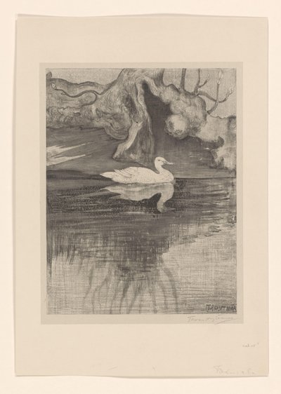 Staw z kaczką autorstwa Theo van Hoytema (signed by artist)