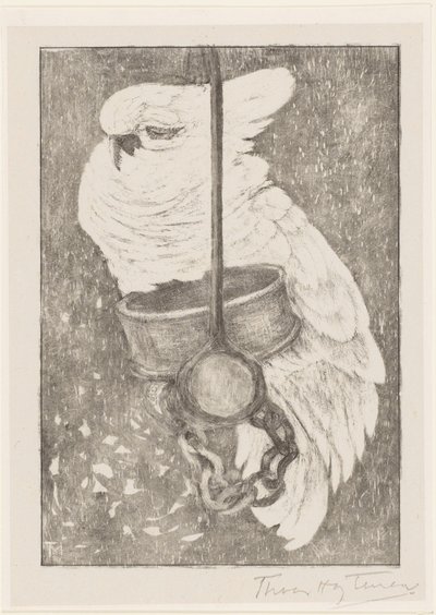 biała kakadu autorstwa Theo van Hoytema (signed by artist)