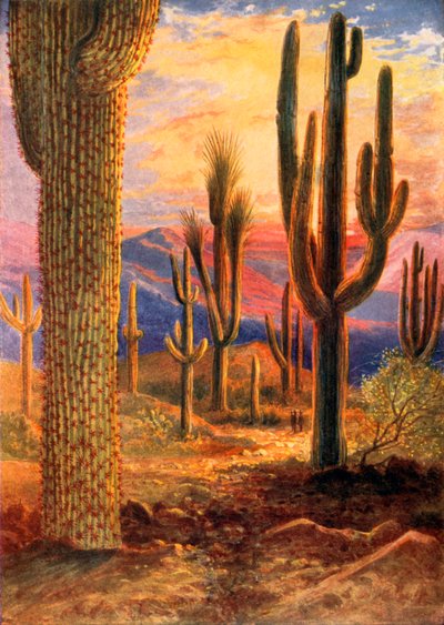 Zwycięzca pustyni (kolorowa litografia) autorstwa Theobald Carreras