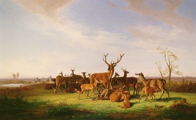 Stado jeleni na nasłonecznionym pastwisku autorstwa Theodor Julius Kiellerup