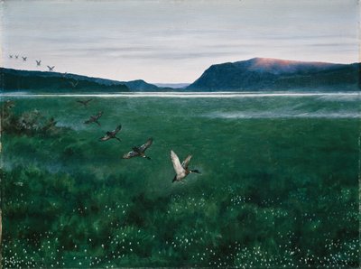 Dwanaście dzikich kaczek autorstwa Theodor Kittelsen