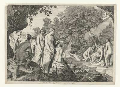 Diana odkrywa ciążę Callisto . Metamorfozy Owidiusza (tytuł serii) autorstwa Theodor Matham