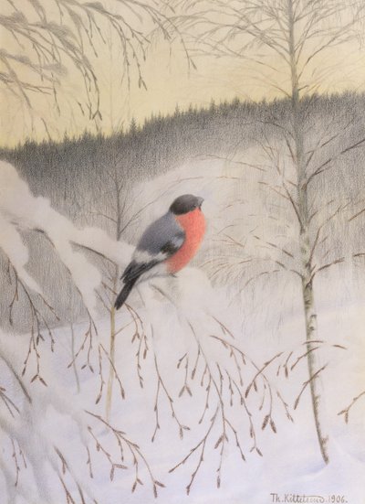 Gil zwyczajny na Mroźnej Gałązce autorstwa Theodor Kittelsen
