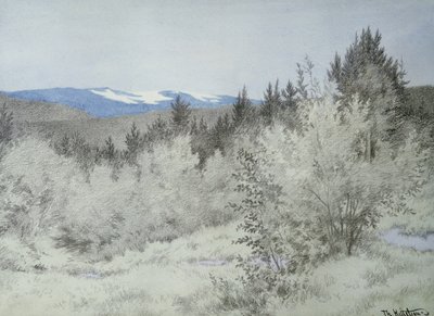 Daleko daleko w lesie autorstwa Theodor Kittelsen