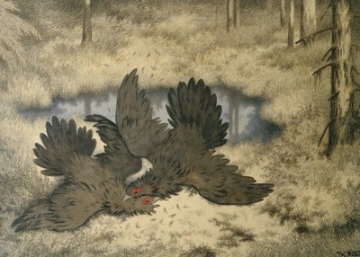 Tam walczy z ptakami trolli? autorstwa Theodor Kittelsen