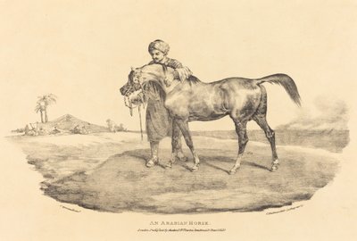 Koń Arabski autorstwa Theodore Gericault
