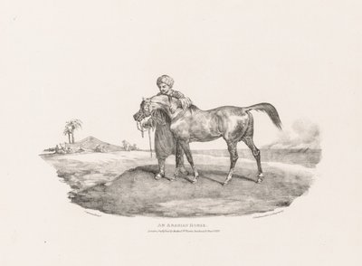 Koń arabski autorstwa Theodore Gericault