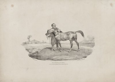 Koń arabski autorstwa Theodore Gericault