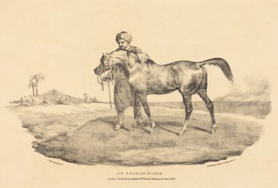 Koń arabski autorstwa Theodore Gericault