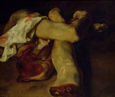 Kawałki anatomiczne (olej na płótnie) autorstwa Theodore Gericault