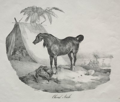 Arabski Koń autorstwa Theodore Gericault