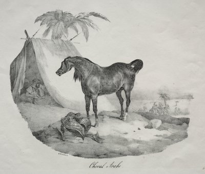 Koń arabski autorstwa Theodore Gericault