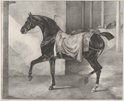 Czarny koń przywiązany w stajni autorstwa Theodore Gericault