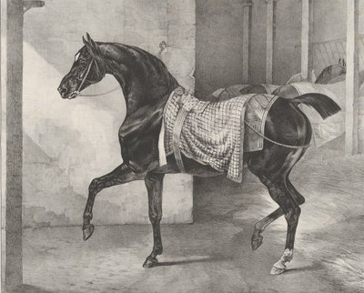 Czarny koń uwiązany w stajni, 1822. autorstwa Theodore Gericault