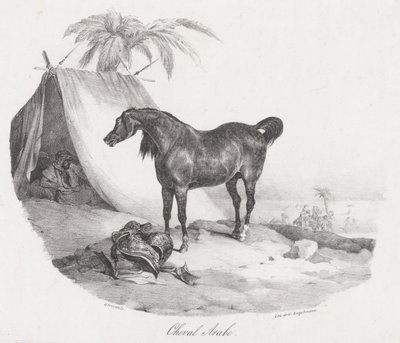 Koń arabski (An Arabian Horse) autorstwa Theodore Gericault