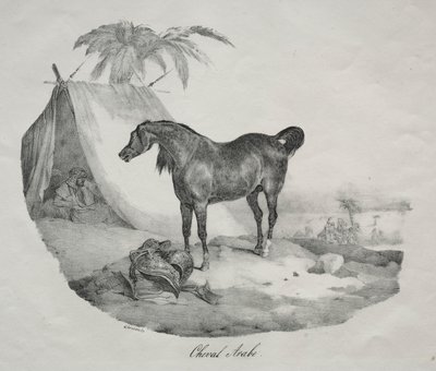 Koń arabski. autorstwa Theodore Gericault