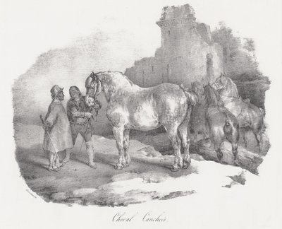 Cheval Cauchois (rdzenna rasa koni z Caux w Normandii) autorstwa Theodore Gericault