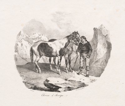 Konie Owernii, 1822. autorstwa Theodore Gericault