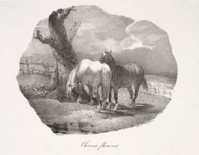 Konie flamandzkie autorstwa Theodore Gericault