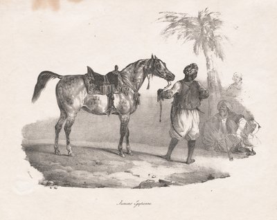 Egipski Mare autorstwa Theodore Gericault