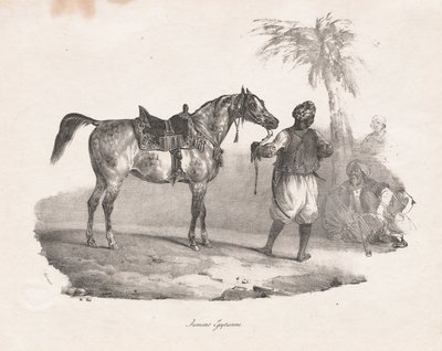 Egipska klacz autorstwa Theodore Gericault