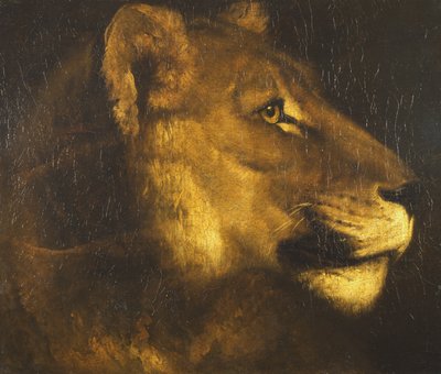 Głowa lwicy autorstwa Theodore Gericault