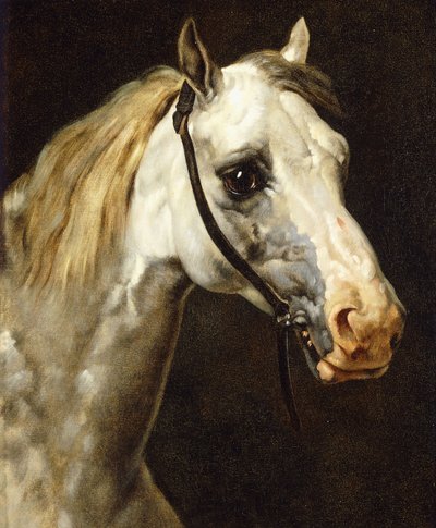 Głowa Srokatego Konia, autorstwa Theodore Gericault