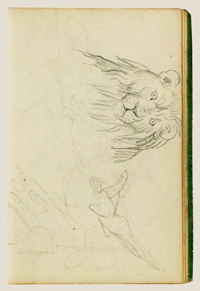 Widok z przodu na siedzącego lwa autorstwa Theodore Gericault