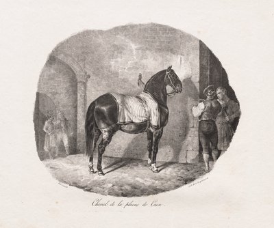 Koń z równiny Caen autorstwa Theodore Gericault