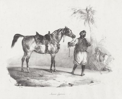 Klacz egipska (An Egyptian Mare) autorstwa Theodore Gericault