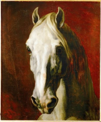 Głowa białego konia autorstwa Theodore Gericault