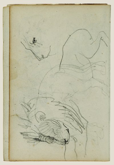 Badania nad lwami autorstwa Theodore Gericault