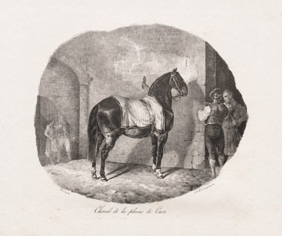 Studia litograficzne koni: Pl. 7, Koń z równiny Caen autorstwa Theodore Gericault