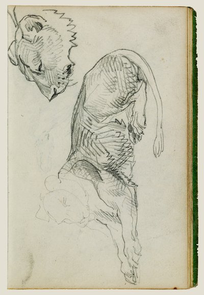 Lew siedzący, głowa lwicy autorstwa Theodore Gericault