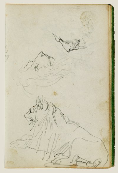 Siedzący lew, dwa szkice głowy lwa autorstwa Theodore Gericault